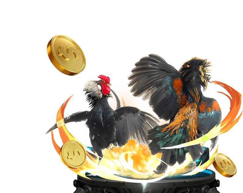 Hình ảnh minh họa luật chơi và kèo cược đá gà fabet